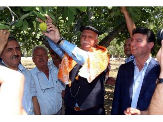 Başkan Akın, İncir Üreticisine Bereketli Bir Sezon Diledi