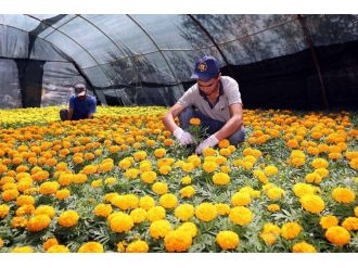 Yenimahalle 4 Mevsim Rengarenk