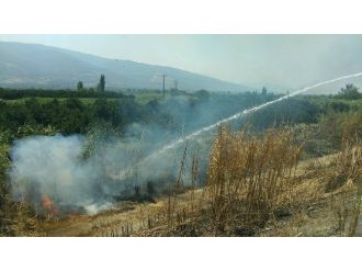 Kuyucak’ta Anız Yangını