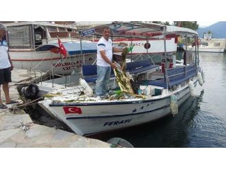 Azmak ‘Sos’ Veriyor