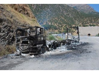 Bitlis’te Pkk Yol Kesip Araç Yaktı