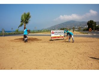 Alanya Belediyesi’nden Demirtaş’a Peyzaj Çalışması