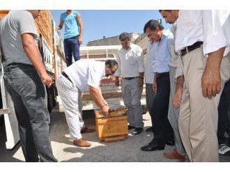 Arıcılığa Polen Tuzaklı Kovan Desteği