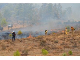 Köyceğiz’deki Orman Yangını Kontrol Altına Alındı