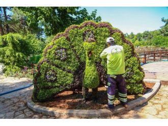 Dülük Tabiat Parkı Hayvan Simgeleriyle Süsleniyor
