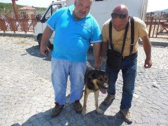 Körfez Belediyesi Sokak Hayvanlarını Kısırlaştırılıyor