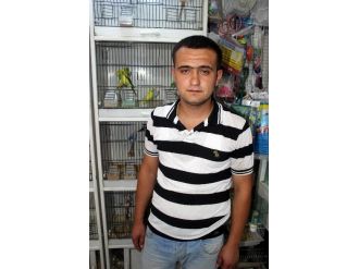 Sıcak Havalarda Evcil Hayvanları Serinletin