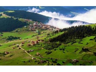 Doğu Karadeniz Bal Deposu