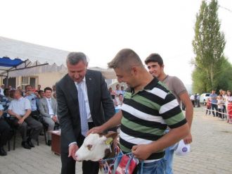 Hisarcık’ta ’En Güzel Buzağı’ Yarışması