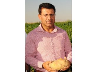 Van’da Patates Üretimi İçin Çağrı