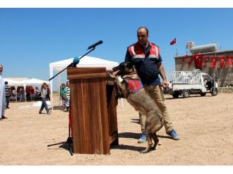 Şehit Asker İçin Düzenlenecek Tören Öncesi Yoğun Güvenlik Tedbiri Alındı