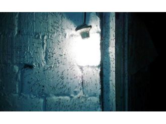 Dilek Mahallesi’nde Sivrisinek Çilesi