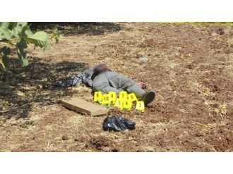 Tarlada Erkek Cesedi Bulundu