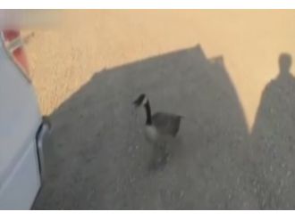 Günün En Sevimli Haberi