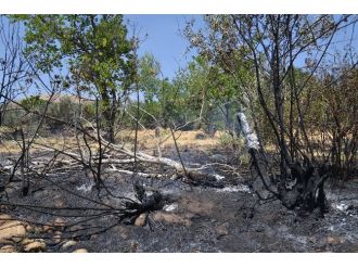 Bir Köyde 6 Ayrı Yerde Yangın