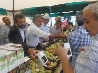 Şehir Merkezinde Tonlarca Armut Dağıttılar