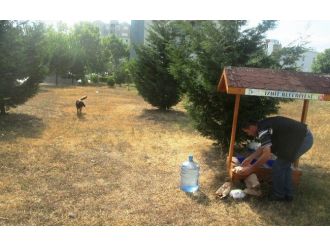 İzmit’te Sokak Hayvanları İçin Kabinler Yapıldı