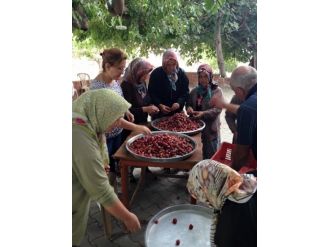 Burhaniye’de Kırtıklı Kadınlar Organik Reçel Yapımını Öğrendi