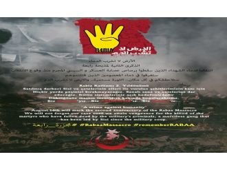 Mısır Darbesinin 2. Yıl Dönümüne Sanal Saldırı