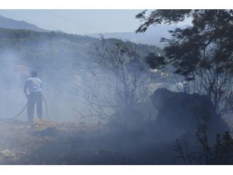 Arılar Can Havliyle Vatandaşlara Saldırdı