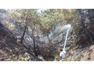 Orman Yangını Büyümeden Söndürüldü