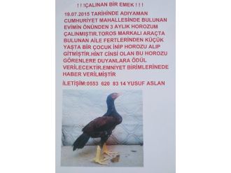 Çalınan Horozunun Başına Ödül Koydu