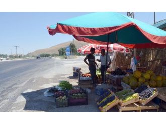 Tarladan Tüketiciye Organik Sebze