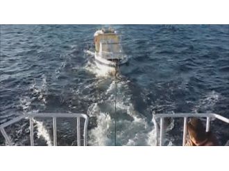 245 Kaçak Yakalandı