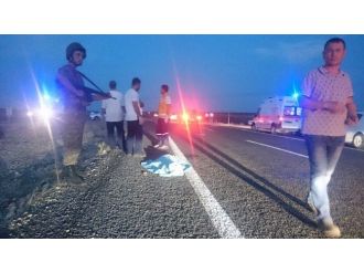 Şanlıurfa’da Trafik Kazası: 1 Ölü