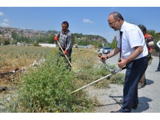 ’Marka Belediyecilik’ Parolasıyla Yola Çıkan Başkan Gülcüoğlu Çim Biçiyor, Yol Süpürüyor