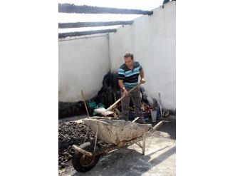 Vali Düzgün, Babanın Çağrısını Karşılıksız Bırakmadı