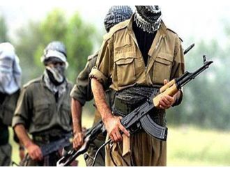 1 Pkk’lı Yakalandı