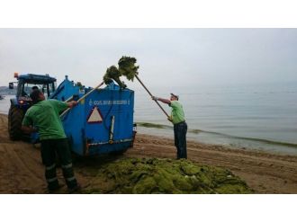 Darıca Bayramoğlu Plajı’nda Periyodik Temizlik