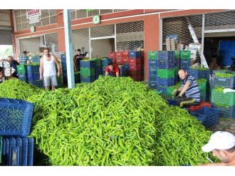 Sebze Ve Meyve Hali Sıkıntılı