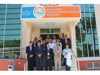 Adana, Irak’a Buğday İhraç Edecek