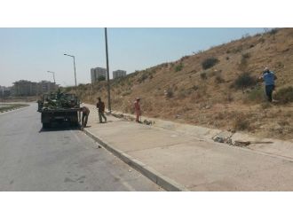 Tarsus 4 Koldan Temizleniyor