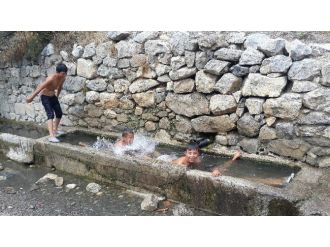 Su Yalağında Çocukların Tehlikeli Serinlemesi