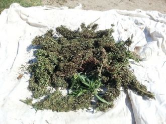 Jandarma Uyuşturucu Tacirlerine Göz Açtırmıyor