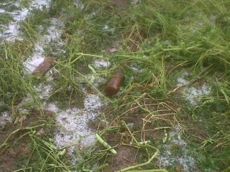 Ağlı’da Dolu Yağışı, Hayatı Olumsuz Etkiledi