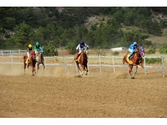 Taşköprü’de At Yarışları Nefes Kesti