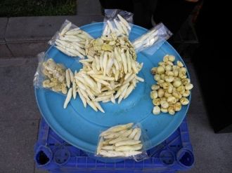 Binbir Derde Deva Kenger Sakızının Kilosu 250 Tl