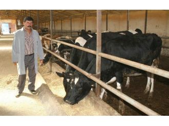 Yozgat Damızlık Hayvan Üreticiler Birliği Başkanı Selvi: