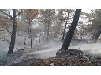 Gazipaşa’da Bir Günde 4 Yangın