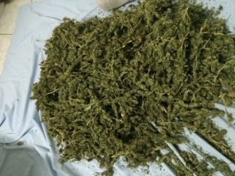 Jandarmadan Esrar Operasyonu