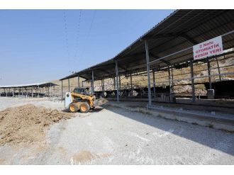 Yakacık’ta Bayram Telaşı Başladı