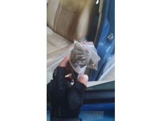 Minibüste 21 Paket Bonzai Çıktı