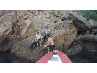 Sokak Köpeğine Kurtarma Operasyonu