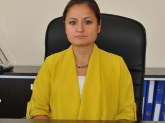 Hasta Çocuğu Almaya Giden Ambulansa Saldırı