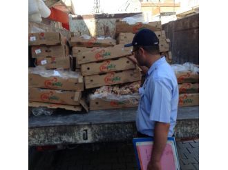 Ceylanpınar’da Bir Ton Tavuk İmha Edildi