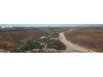 Tahmazoğlu Yeşilvadi Parkı’nı İnceledi